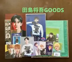 INI 田島将吾グッズ　まとめ売り　トレカ　生写真　レターカード　ステッカー