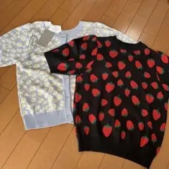 アリーバイ　ダブルクローゼット