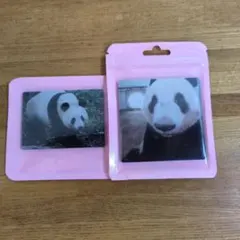 パンダ シャンシャン マグネット 2種セット 未開封 雅安基地 上野動物園