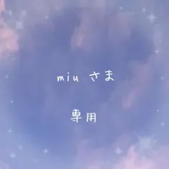 専用ページ