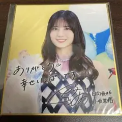 高井俐香 日向坂46 ひなこれ 会場くじ C賞 プリントサイン入りミニ色紙