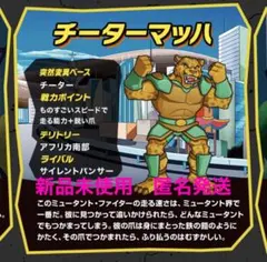 DeAGOSᎢINI　ストレッチーズミュータントファイターズ　チーターマッハ