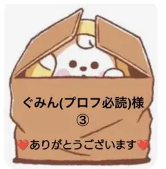 ★専用★
