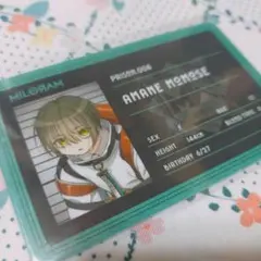 Item thumbnail for item 25f8f88c-9e90-488d-9e4f-01b92021ac54