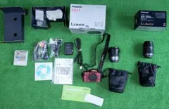 2025年最新】lumix dmc gh1の人気アイテム - メルカリ