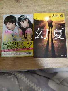 燃える息 & 幻夏 2冊セット