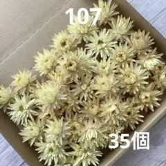 あき★プロフ必読★様 リクエスト 3点 まとめ商品