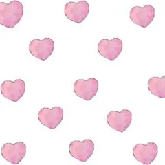 やちこ！様専用