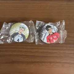 日向翔陽・影山飛雄 缶バッジ 2個セット