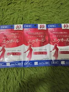 最終本日限定] DHC 大豆イソフラボン エクオール 40日分 4袋セット 