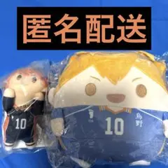 ブルーロック ふわコロりん BIG 糸師冴 - メルカリ