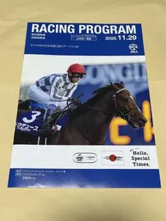 レーシングプログラム　ラジオNIKKEI杯