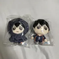 ハイキュー セガラッキーくじ 影山 ラストラッキー賞