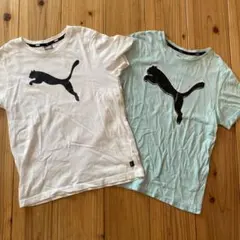PUMA プーマ　半袖Tシャツ　２枚セット　白　水色　150