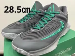 即日発送可能、28.5㎝ヤニスイモータリティ4EP