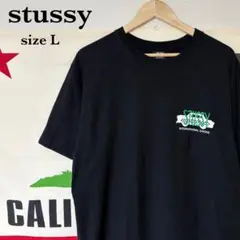 0076 STUSSY Tシャツ Lサイズ SUMMER 1995 - メルカリ
