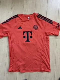 ブンデスリーガ、バイエルンミュンヘン練習着、スポンサー入