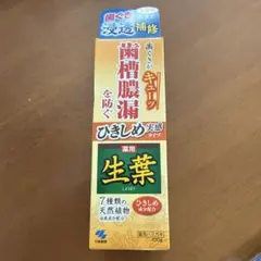 薬用 生葉 歯磨き粉 100g 新品未開封