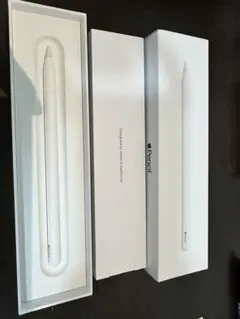 Apple Pencil ホワイト 専用ケース付き