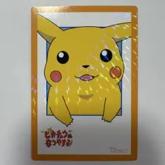 美品⭐︎レア】ピカピカ星空キャンプ ポケモンずかんカード ポケカ