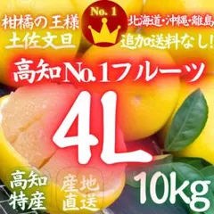2026年最新】文旦 20kgの人気アイテム - メルカリ