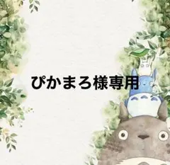 ぴかまろ様専用♡♡