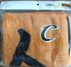 Item thumbnail for item bc48ee0b-5e93-49db-8010-bf243f70e944