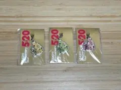 ARASHI 5×20 Anniversary Tour キーホルダー 3個