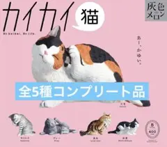 カイカイ猫 全5種コンプリート品