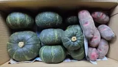 長崎県産坊ちゃんかぼちゃ、デストロイヤーじゃがいものサムネイル