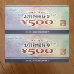 YAMADA HLDGS. お買物優待券 ¥500✖︎2