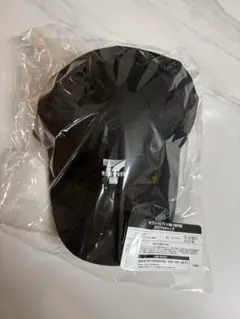 Item thumbnail for item c5200d64-744b-46e9-97a2-8b919cc7a055