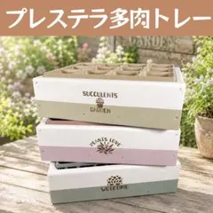 プレステラ90カラートレー ＋木製トレー3組セットのサムネイル