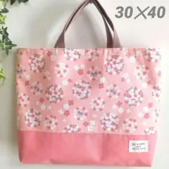 Item thumbnail for item 5531d55f-cf96-4898-884f-b76806412971