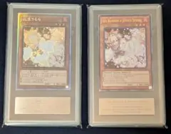 遊戯王 灰流うらら PSA9 3枚セット | Mercari