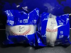 Item thumbnail for item 211614b2-5490-41d1-99a1-5dbde7872b18