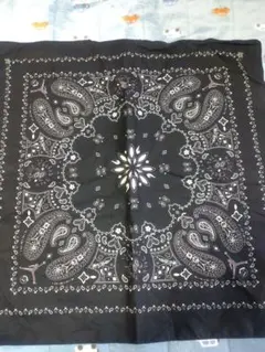 Item thumbnail for item 71f678bf-78db-4141-8d88-ef3ec6dcf529