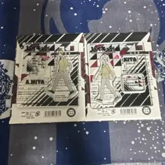 Item thumbnail for item c730c756-098c-4558-b6bb-42c92fa8779a