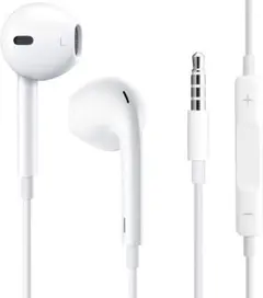 イヤホン 有線 マイク付き 通話対応 イヤホン テレワーク在宅勤務 パソコン