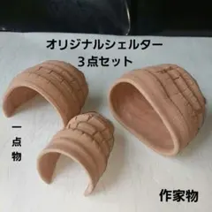陶器シェルター(隠れ家)プレコ、熱帯魚、昆虫、爬虫類、一点物❗