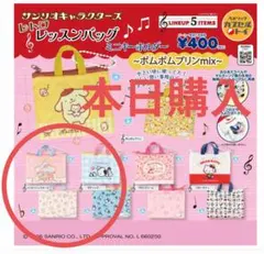 【本日購入】【匿名配送】サンリオキャラクターズ　レトロレッスンバッグ
