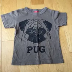 OJICO パグ Tシャツ グレー　4Aのサムネイル