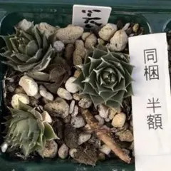 ひょうたん様 リクエスト 10点 まとめ商品