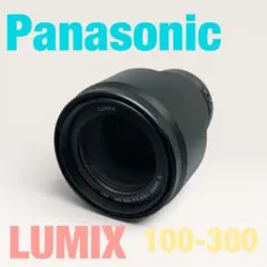 Panasonicパナソニック　LUMIX G VARIO 100-300のサムネイル