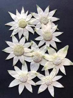 Item thumbnail for item 5a2b4eb3-22c1-4ef7-80fc-fa4732bb7744