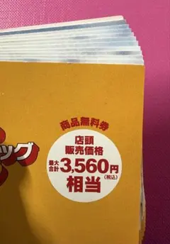 マクドナルド サマーチャンスバッグ 2025 商品無料券
