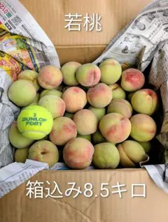 若桃 箱込み8.5kg - メルカリ