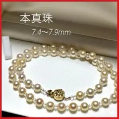 希少✨あこや本真珠 4連ベビーパールネックレス 2.9-3.3mm シルバー