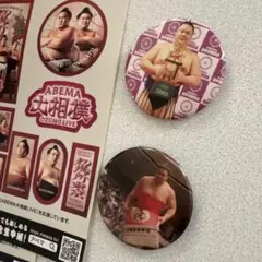 大相撲　今場所掻き回すのは！　　義ノ富士　缶バッジ2個セット おまけ付き