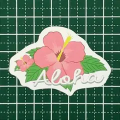 no.1916　防水ステッカー　ハワイ　ハイビスカス　アロハ